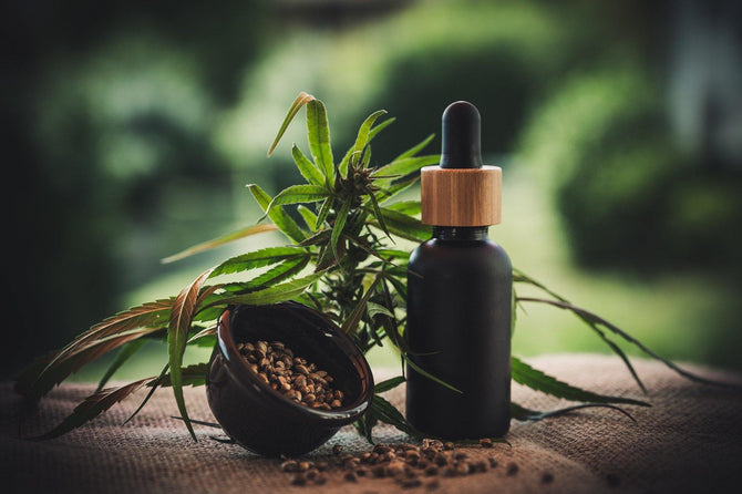De geheime kracht van CBD - Prohemp.nl